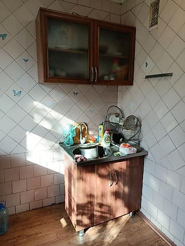 отдам даром табылгалар: Отдам даром, самовывоз — 5