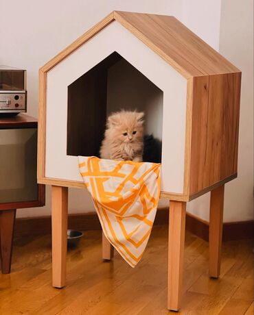 собаку объявление продам: Taxta it/pisik evi – skandinaviya üslubunda minimalist dizayn -