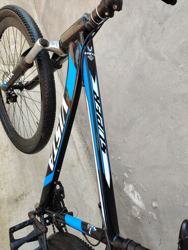 İdman velosipedləri: Dağ velosipedi Vista, 29" — 4