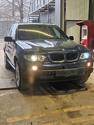 BMW: BMW X5: 2006 г., 3 л, Автомат, Дизель, Внедорожник — 1