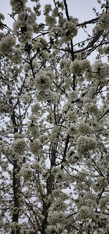 Фотографы, видеооператоры: Фотограф, видеооператор. 19 — 3