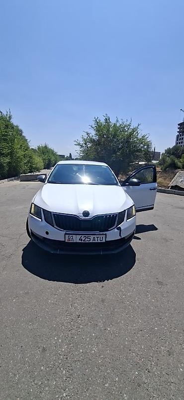 октавиа а7: Skoda Octavia: 2018 г., Седан — 3