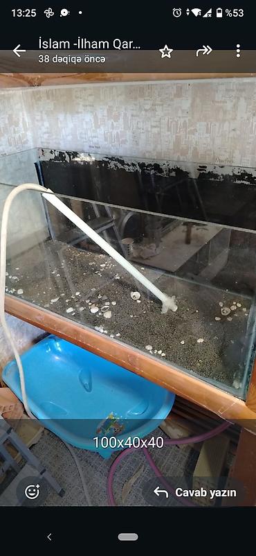 Akvariumlar: Akvariumlar – 2 ədəd 1) Ölçü: 80×30×40 sm - Şüşə akvarium, düz — 11
