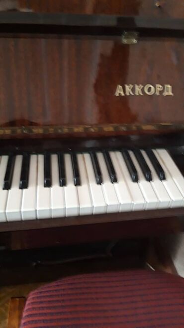 рояль steinway: Пианино «Аккорд» — классическое отечественное вертикальное пианино