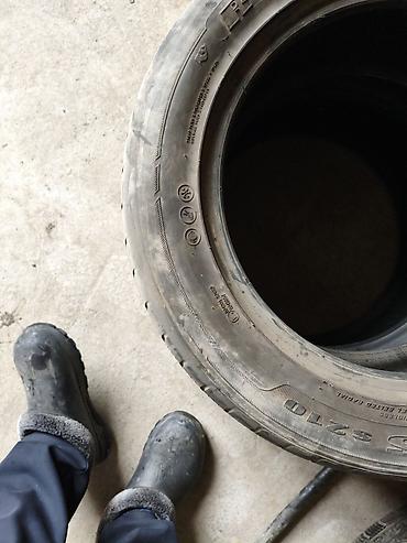 Шины: Комплект автомобильных шин (4 шт.). - Тип: летние (асимметричный — 2