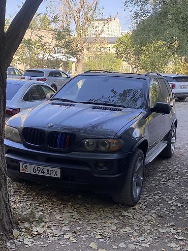 х5 м: BMW X5: 2003 г., 4.4 л, Автомат, Бензин, Кроссовер — 10