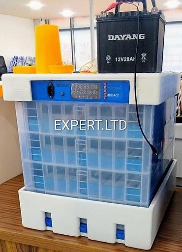 İnkubatorlar: Çin, Fabrik istehsalı, Tam avtomat, Bütün növ quşlaq üçün — 29