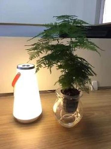 Rasveta: LAMPA ZA KAMPOVANJE NOVA TOUCH LAMPA ZA KUCU, BASTU, PECANJE | Cene — 14