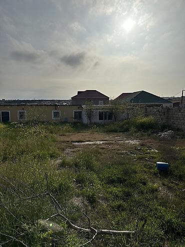 baki torpaq: 6 sot, Tikinti, Maklerlər narahat etməsin, Kupça (Çıxarış) — 8