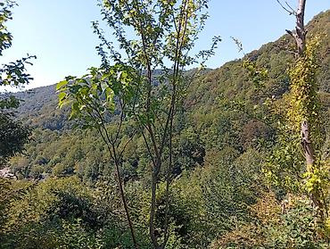 ucuz bag evleri kiraye: 90 kv. m, 2 otaqlı, Hovuzsuz — 9