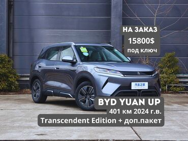 BYD: BYD Yuan Up комплектация Transcendent Edition + доп.пакет, цвет кузова