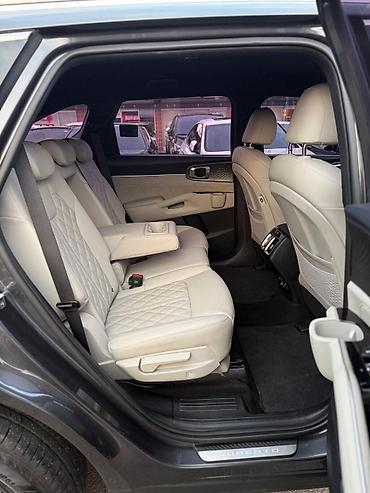 Kia: Kia Sorento: 2020 г., 1.6 л, Автомат, Гибрид, Кроссовер — 19