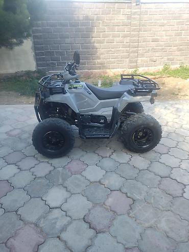 рига мото: Квадроцикл утилитарного класса, 4×4 Основные особенности: - — 7