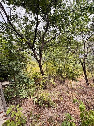 Продажа дач: Продается Дача Село Чон Далы выше Новопокровки Ысык Атинский Район 5 — 10