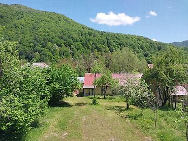 2 otaqlı evlər satış: 5 otaqlı, 1100 kv. m, Kredit yoxdur, Yeni təmirli — 9