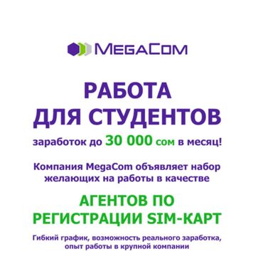 Продажи, работа с клиентами: Промоутер. Аламединский рынок / базар