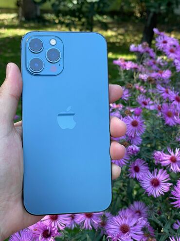 redmi note 12 pro max цена в бишкеке: IPhone 12 Pro Max, Новый, 256 ГБ, Blue Titanium, Чехол, Кабель, Защитное стекло, 79 %