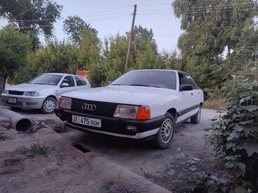ауди куатро: Audi 100: 1989 г., 2.3 л, Механика, Бензин