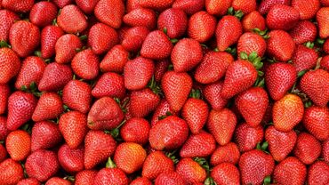 уголь каракече бешсары шабыркуль каражыра доставка бишкек купить: Кулпунай Дүңүнөн