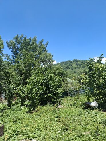 qəbələ torpaq: Təcili Qəbələ rayonu Nohurqişlaq kəndi Nohur gölü ilə üz üzə 6 sot dağ