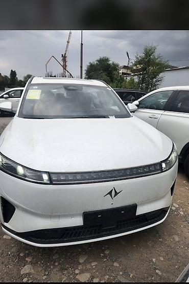кил 5: Dongfeng : 2025 г., 1.5 л, Автомат, Гибрид, Внедорожник — 1