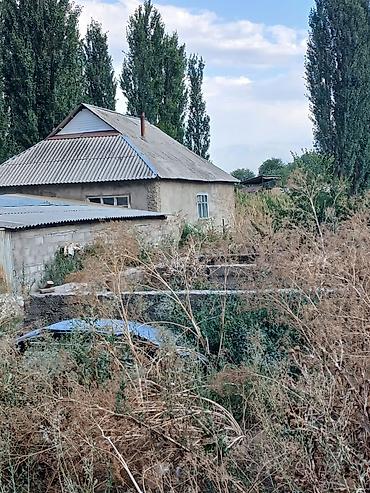 квадратный метр: 7 соток, Красная книга — 1