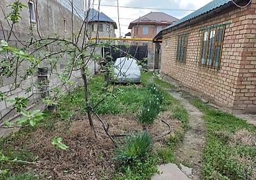 4: 🏡 Продается уютный 4-комнатный кирпичный дом 💰 Цена: 131 000 📍 г — 3
