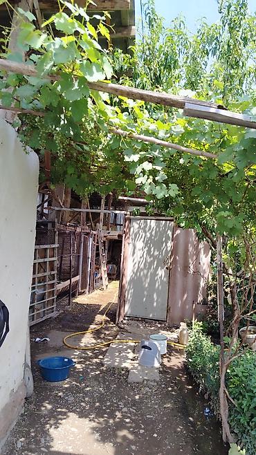 цена ош: Кара-балта верхний часть города ул фурманова 42а все документы есть — 10