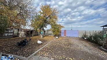 Продажа коттеджей и домов: Продаю 2 дома на одном участке(2 зала,4 спальних комнат,летняя — 5