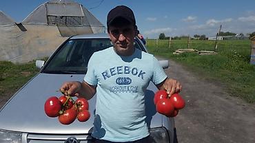 Удобрения и садовая химия: Удобрение Самовывоз — 6