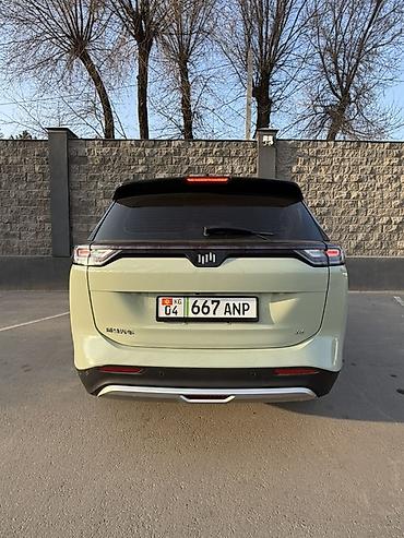 Weltmeister: Weltmeister W6, 2022 г. — 7