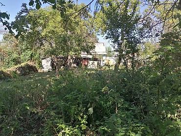 Продажа коттеджей и домов: Продается дом в селе Сосновка по адресу Крупская 4 частично с — 7