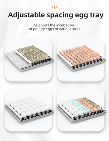 Oprema za kućne ljubimce: INKUBATOR Automatski nove generacije za 130 jaja 12v/220v — 8