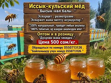 Мёд Иссык-кульский 100% натуральный . Разнотравие . Пройдёт любые
