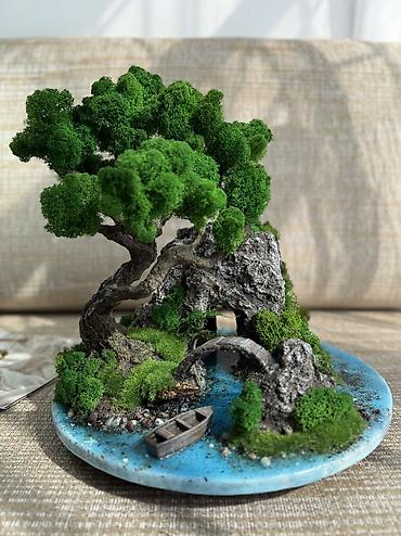 Декоративные цветы: Деревья-бонсай из натурального стабилизированного мха🌳 -это — 101