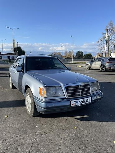 Mercedes-Benz W124: 1995 г., 2 л, Автомат, Газ, Седан