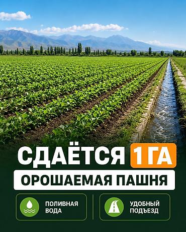 лист контенер: 100 соток Для сельского хозяйства — 1