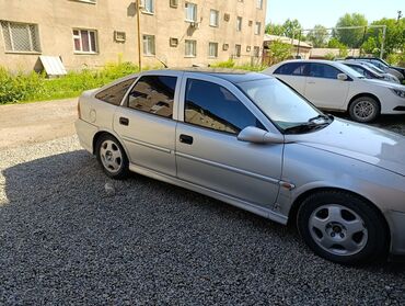 Opel: Opel Vectra: 2001 г., 1.6 л, Механика, Бензин, Хэтчбэк