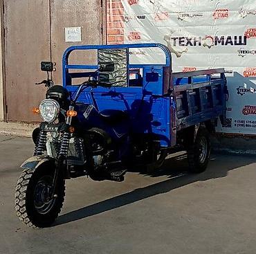 Мотороллеры муравей: Мотороллер муравей Бензин, 250 - 299 км, 1500 кг и более, Новый, В рассрочку — 7