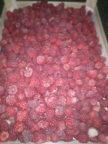 Другие специальности: Жумушчулар керек ; жумуш дыйканчылык,Клубника,малина — 6