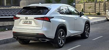 Lexus: Lexus NX: 2019 г., 2 л, Автомат, Бензин, Кроссовер — 17