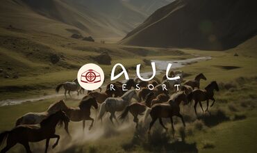 Графические дизайнеры: Графический дизайнер. 31 — 5