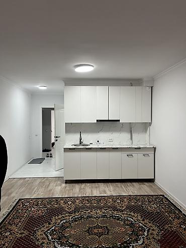 Долгосрочная аренда квартир: Студия, Собственник, С мебелью частично — 1