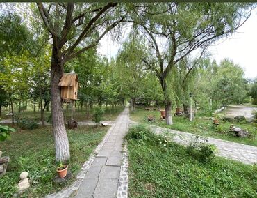 Kommersiya daşınmaz əmlakının satışı: Qusar şəhərində(200 sot) Şahdağa gedən yolun Qusar çayının sol — 16