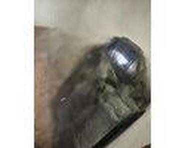 Glave motora: KRILA ZA SVE MODELE ZA FORD C-MAX, FIESTA, FOCUS . OD 2001. DO 2006 — 20