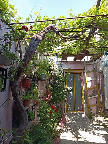 Həyət evləri və villaların satışı: Suraxanı 2 otaqlı, 38 kv. m, Orta təmir — 1
