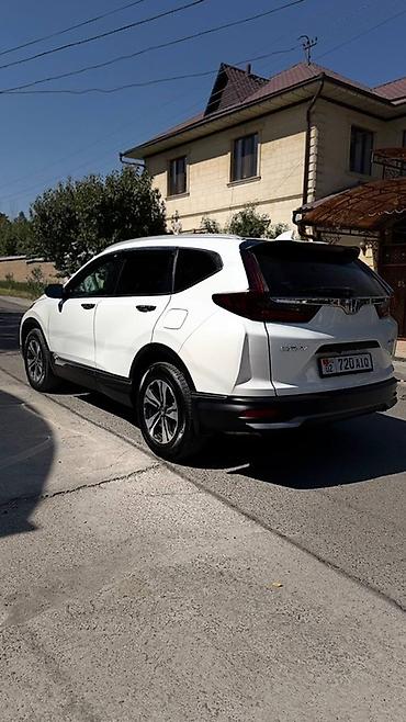 honda crv 2019: Honda CR-V: 2019 г., 1.5 л, Бензин, Кроссовер — 5