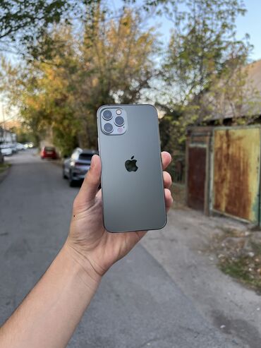 Apple iPhone: IPhone 12 Pro, Б/у, 256 ГБ, Черный, 73 %