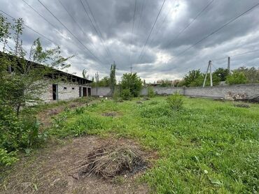 участки военно антоновка: 6 соток, Для бизнеса, Красная книга, Договор купли-продажи