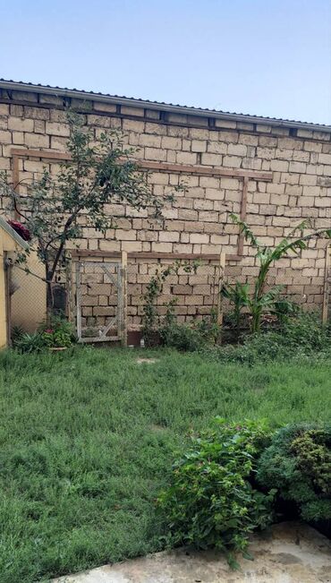 Həyət evləri və villaların satışı: 3 otaqlı, 90 kv. m, Təmirli -da lalafo.az — 9 Həyət evləri və villaların satışı: 3 otaqlı, 90 kv. m, Təmirli — 9